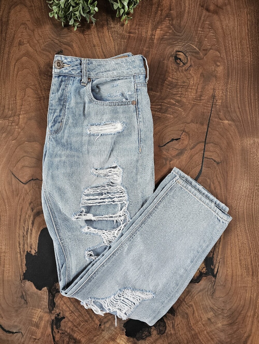 American Eagle Tomgirl - 8 Regular